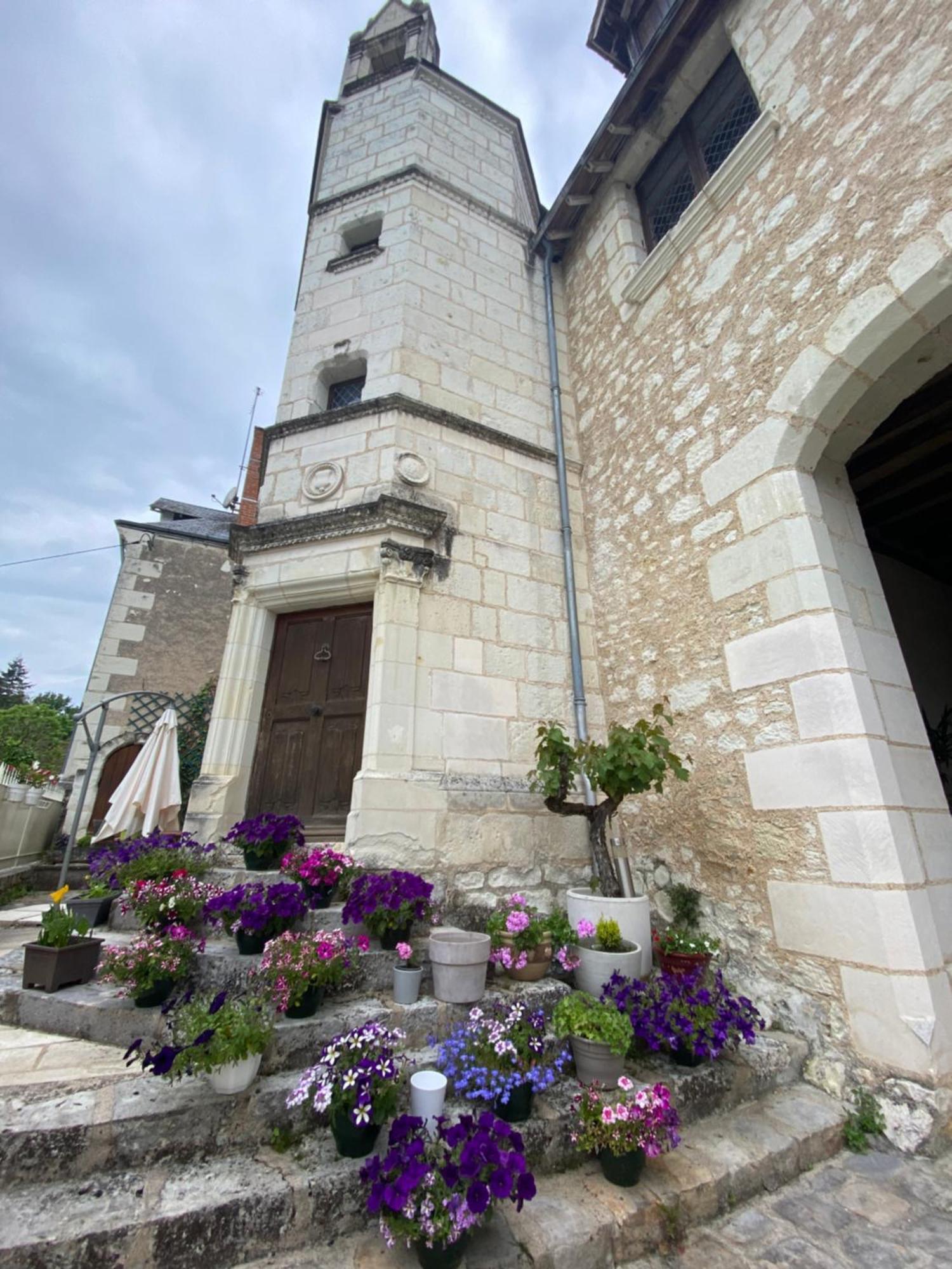 Le Manoir Des Roches Bed & Breakfast Bourré Exterior photo